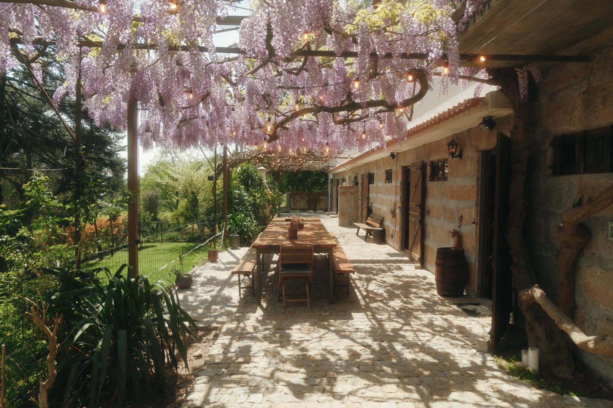 Casa Da Alvarinha Privacidade Conforto Natureza Paredes  Bagian luar foto