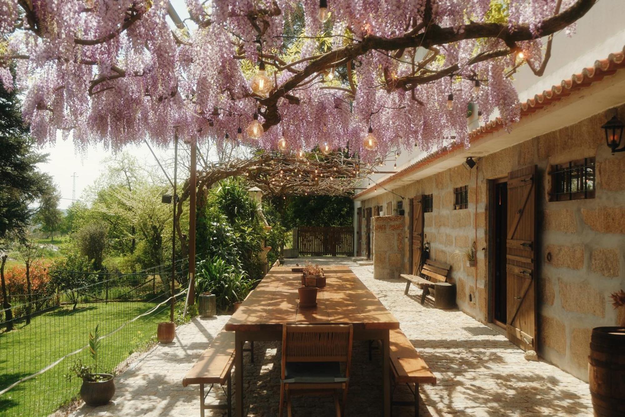 Casa Da Alvarinha Privacidade Conforto Natureza Paredes  Bagian luar foto