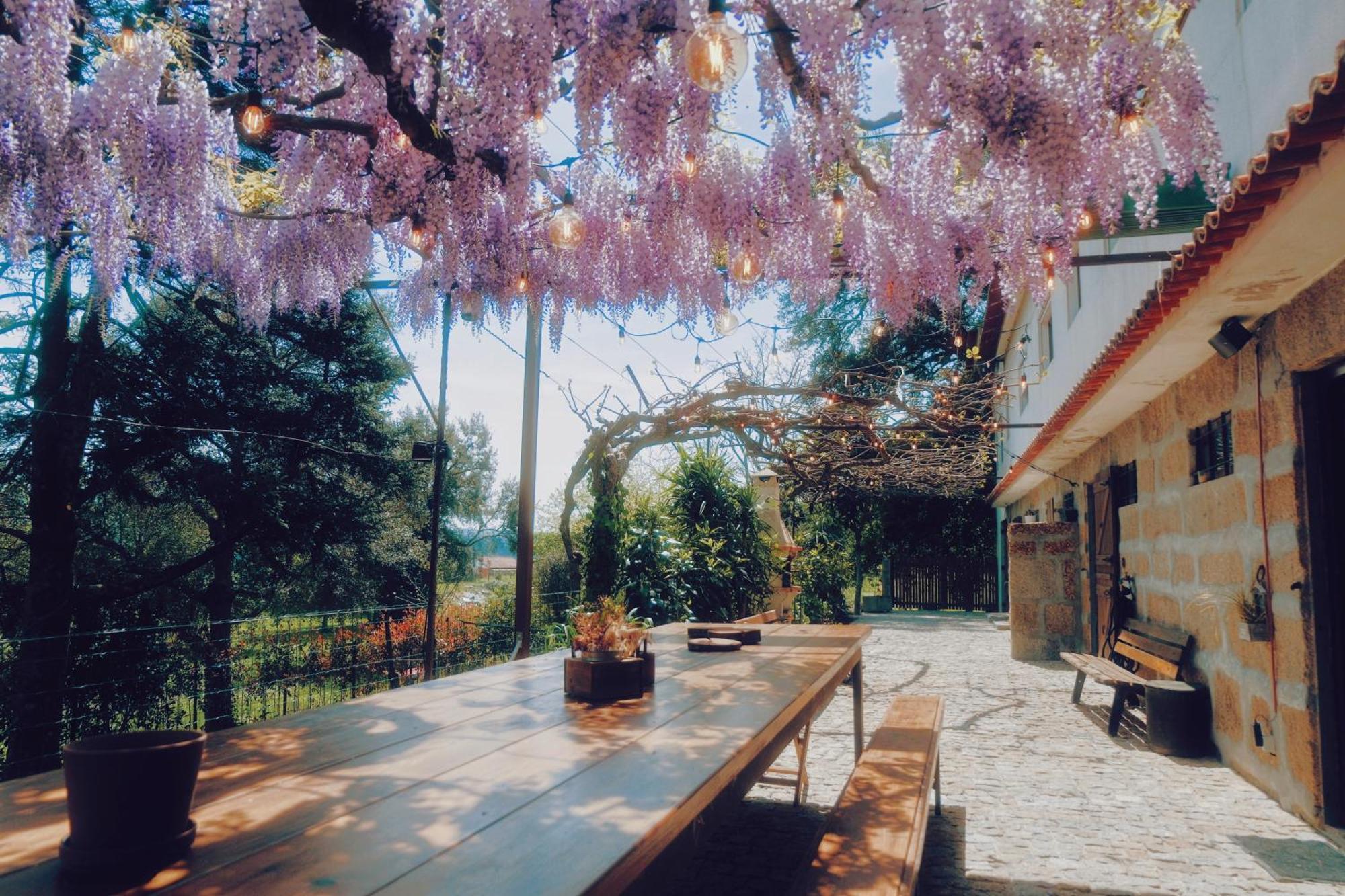 Casa Da Alvarinha Privacidade Conforto Natureza Paredes  Bagian luar foto